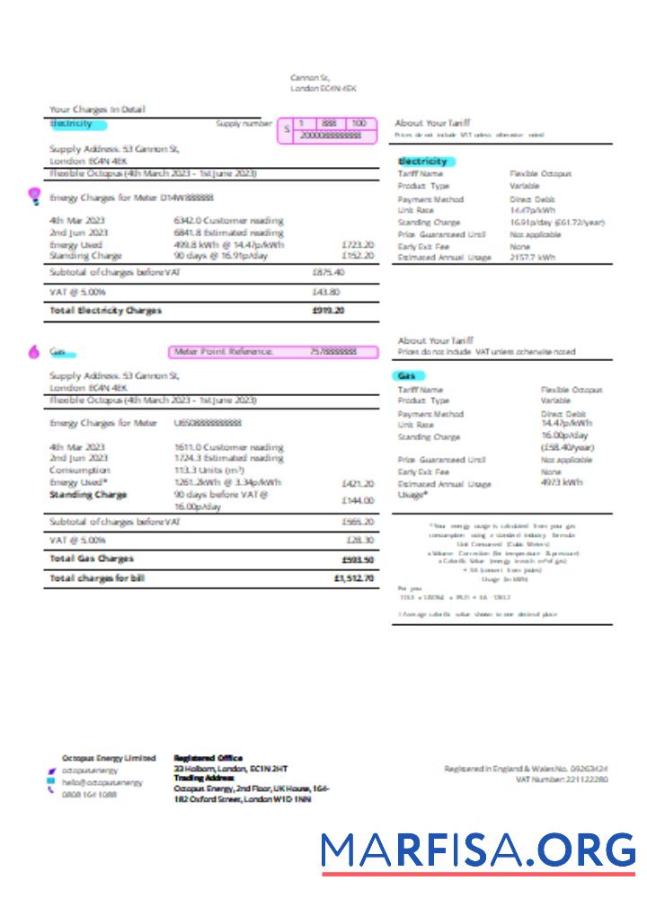 Blank Octopus Energy utility business bill SCR page 2 example